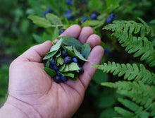 Load image into Gallery viewer, Blueberry Tea