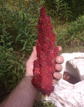 Load image into Gallery viewer, Sumac Loose Tea