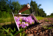 Load image into Gallery viewer, Bee Balm Tea