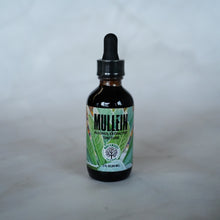 Load image into Gallery viewer, Mullein Tincture - Single Extraction