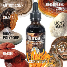 Load image into Gallery viewer, Chaga, Reishi, Turkey Tail, Artist Conk, Lion's Mane, Cordyceps, Birch Polypore, Red Belted Conk
