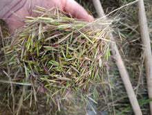 Load image into Gallery viewer, Wild Rice (Manoomin)
