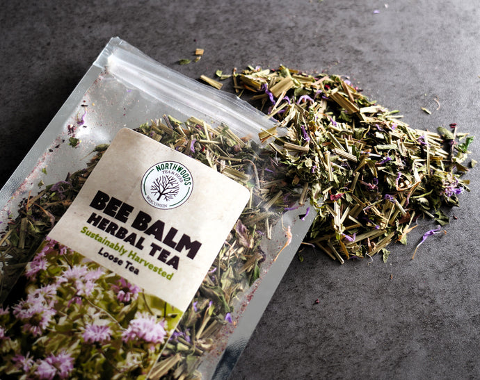 Bee Balm Tea