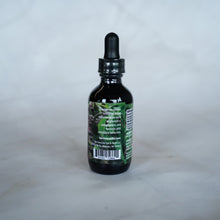 Load image into Gallery viewer, Elderberry Tincture - Single Extraction

