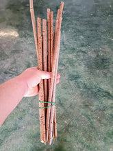 Load image into Gallery viewer, Elderberry Cuttings
