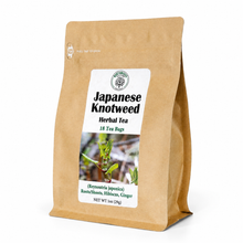 Load image into Gallery viewer, Japanese Knotweed
