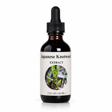 Load image into Gallery viewer, Japanese Knotweed

