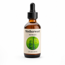 Load image into Gallery viewer, Motherwort Extract
