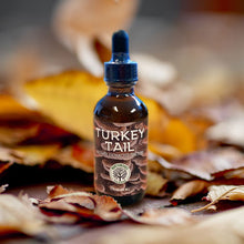 Load image into Gallery viewer, Wild-harvested Turkey Tail extract / tincture, 30% alcohol dual extraction, wellness tincture
